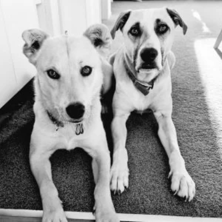 Billie & Percy
