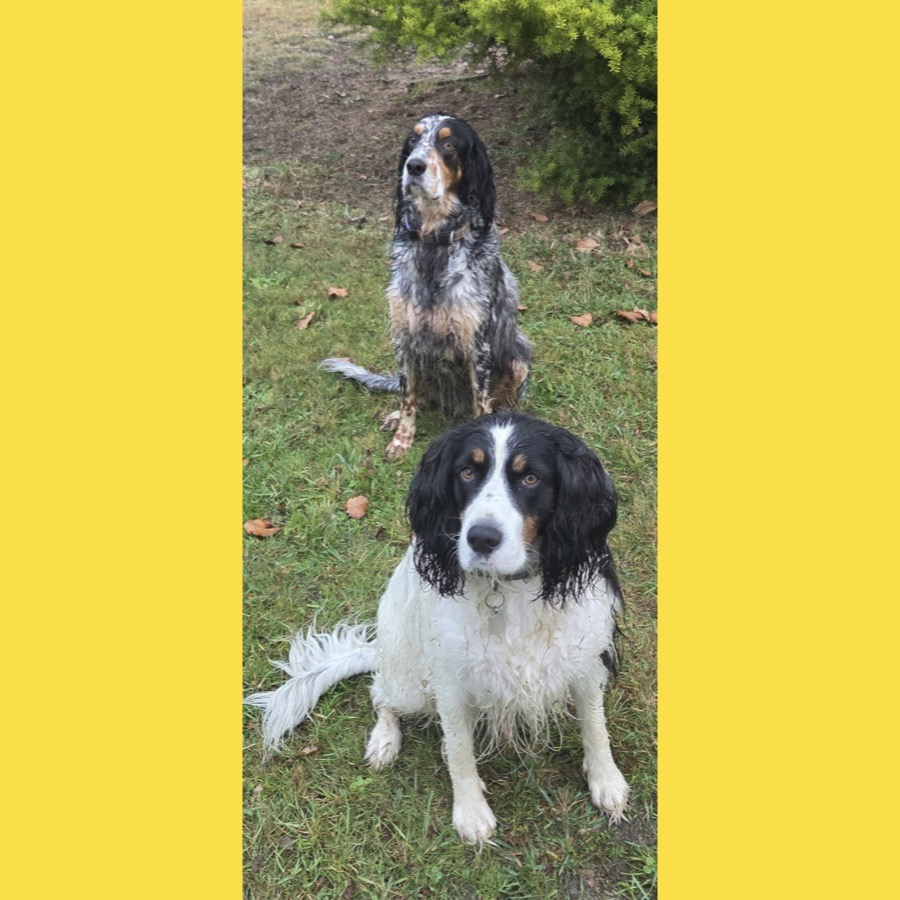 Franklin & Cheddar